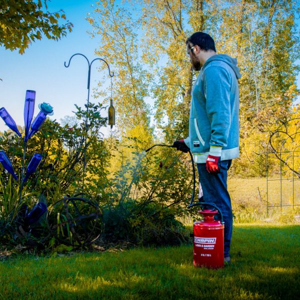 Chapin 31420 2 Gallon Tri-Poxy Steel Lawn & Garden Hand Pump