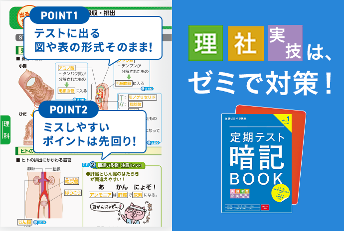 無学年学習のご紹介｜進研ゼミ中学講座｜中学生向け通信教育