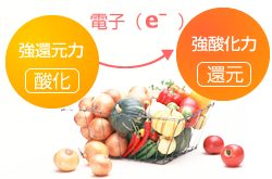 FTWビューラプレート│株式会社コンプラウト 美容に、健康に、心に