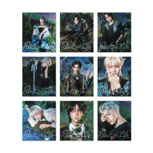 Back to Life Photocard Box (Mini CD-R ver.)[CD] - &TEAM