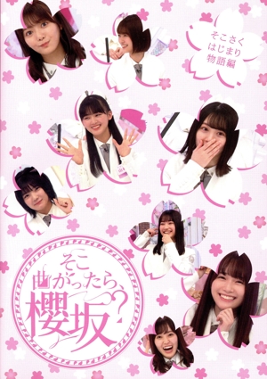 THE VERY BEST ON AIR of ダウンタウンのごっつええ感じ 1995 中古DVD