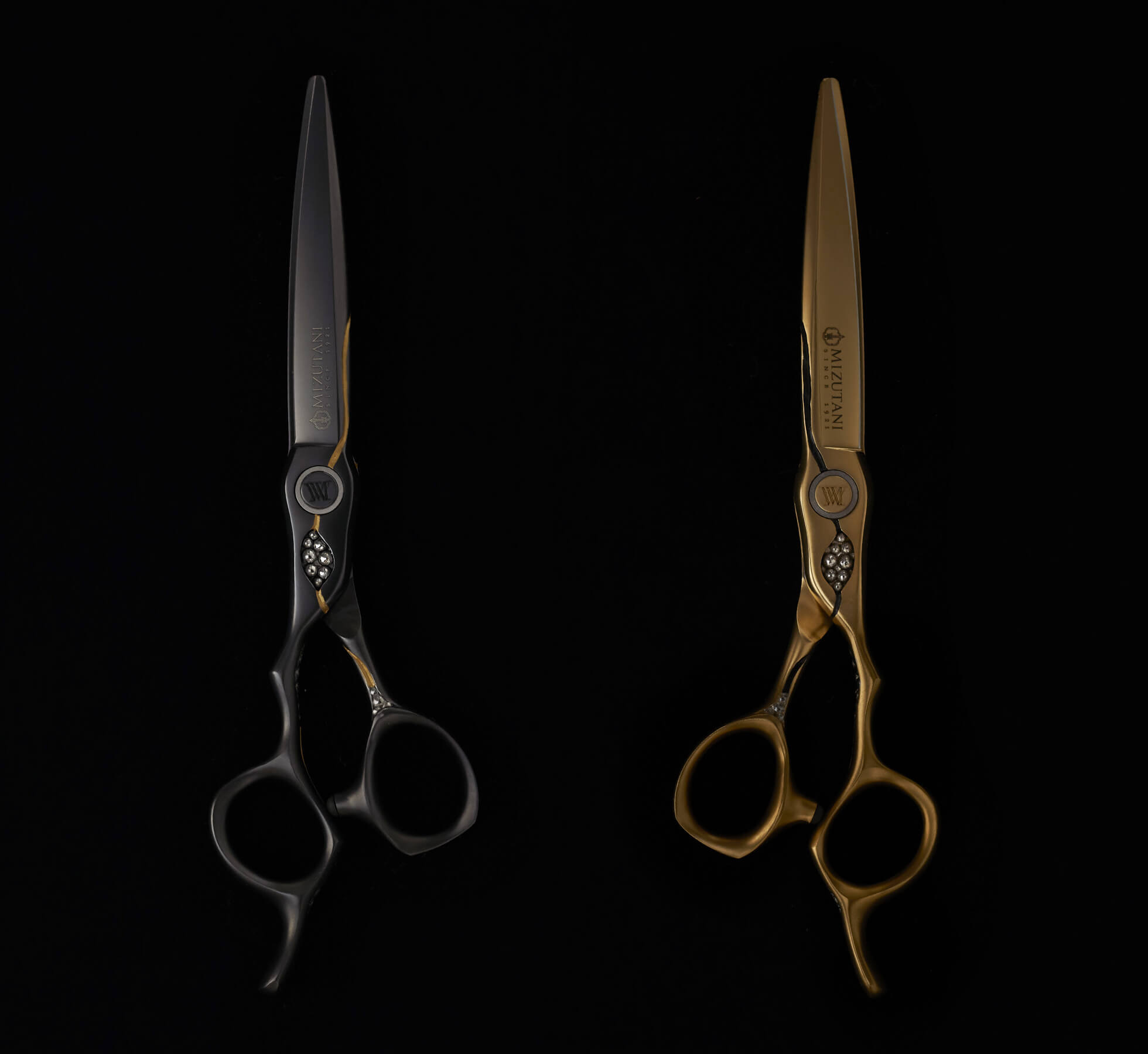 特集 新製品 2025 | ミズタニシザーズ