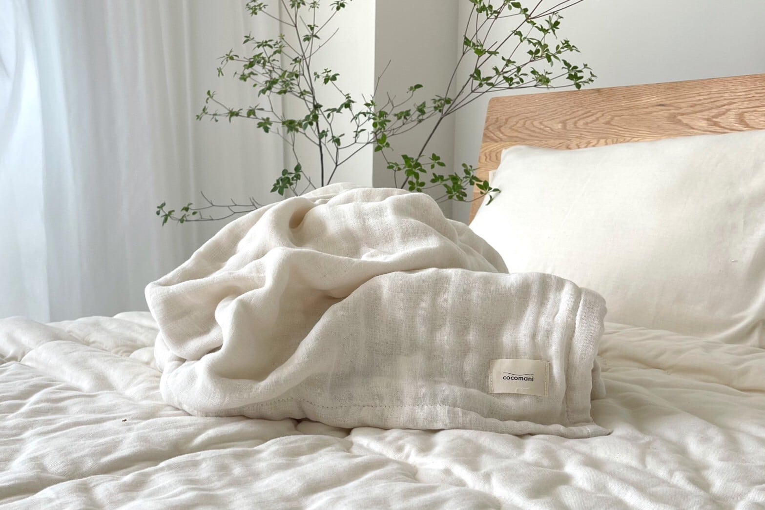 a4f2aa514a24a2d7a5885f7416154f