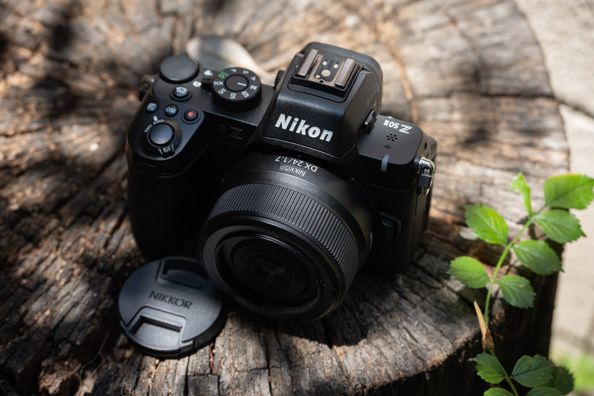 Nikon Z DX 24mm f/1.7 Review | A Classic 35mm Prime For Crop Sensors