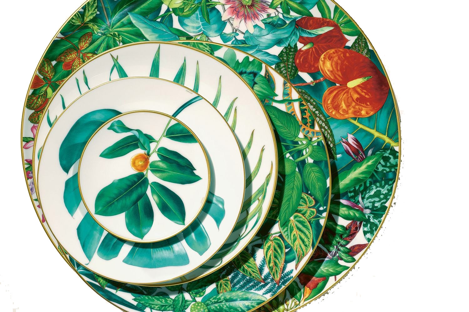 Passifolia – Mary Mahoney