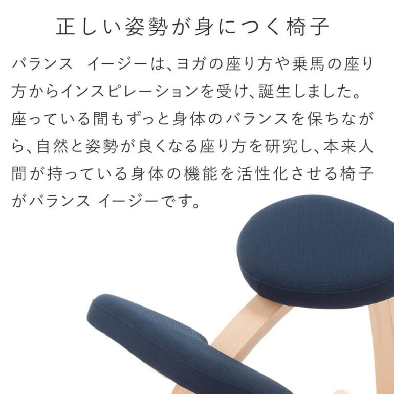 BALANS LAB バランスイージー チェア 通常フレームのレンタル