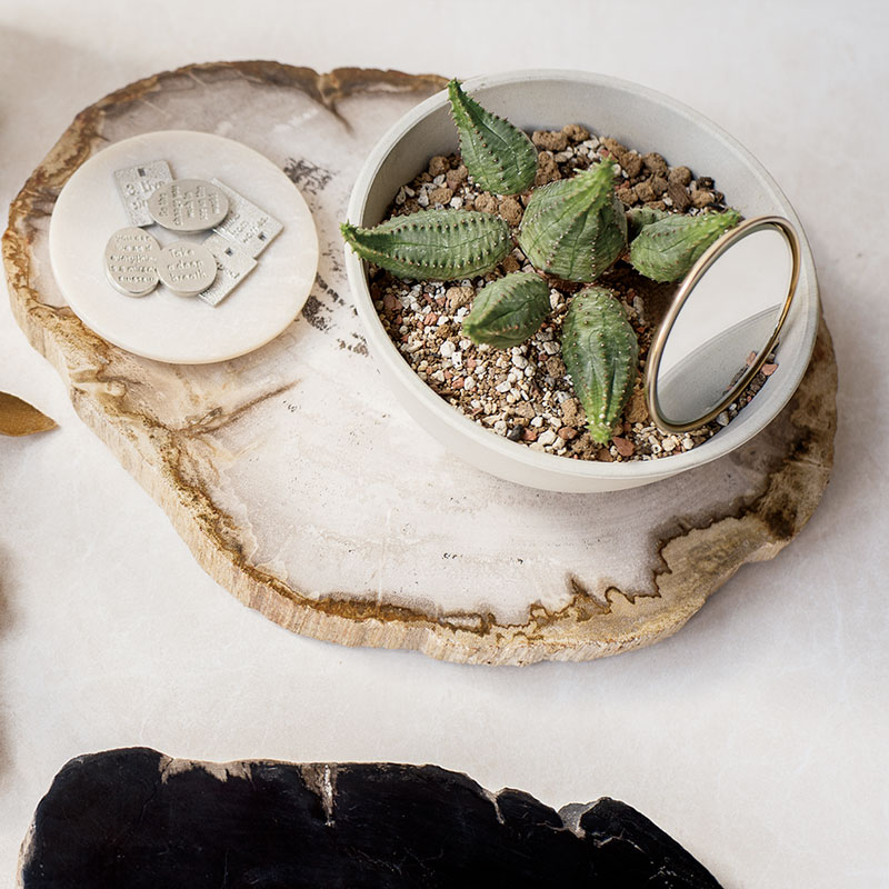 E-4 昭和レトロ 珪化木 化石 木の化石 鑑賞石 置物 飾り インテリア E