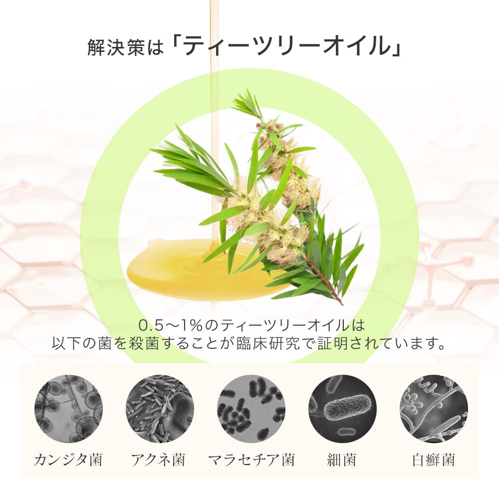 ドクターズチョイス ファンガソープEX・ファンガクリームセット 30日分