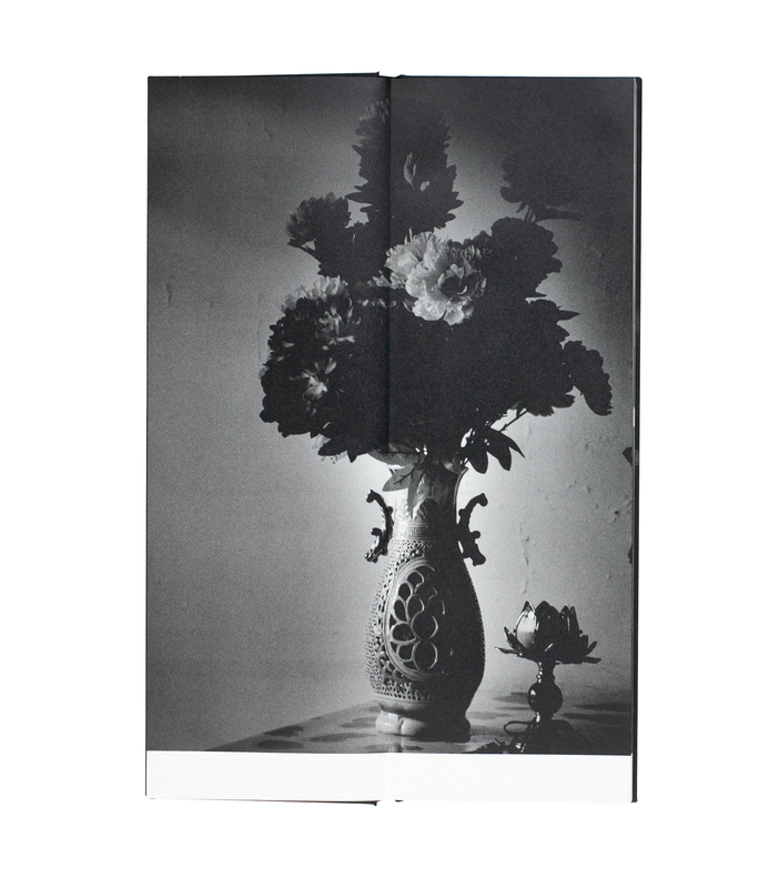 春の運命 - 野村佐紀子 | shashasha 写々者 - 写真集とアートブック