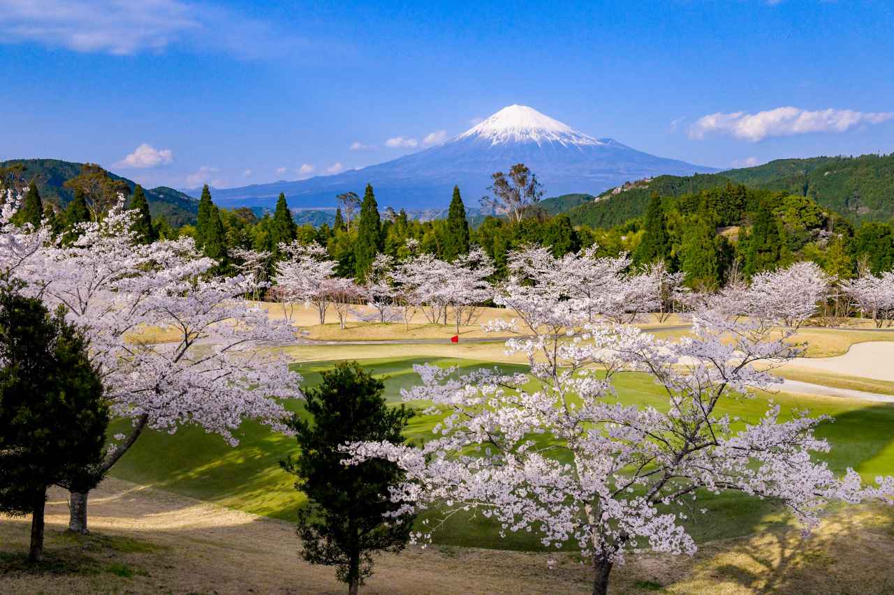 春はもうすぐ！ 富士と桜を堪能する静岡ゴルフ旅 - ゴルフダイジェスト