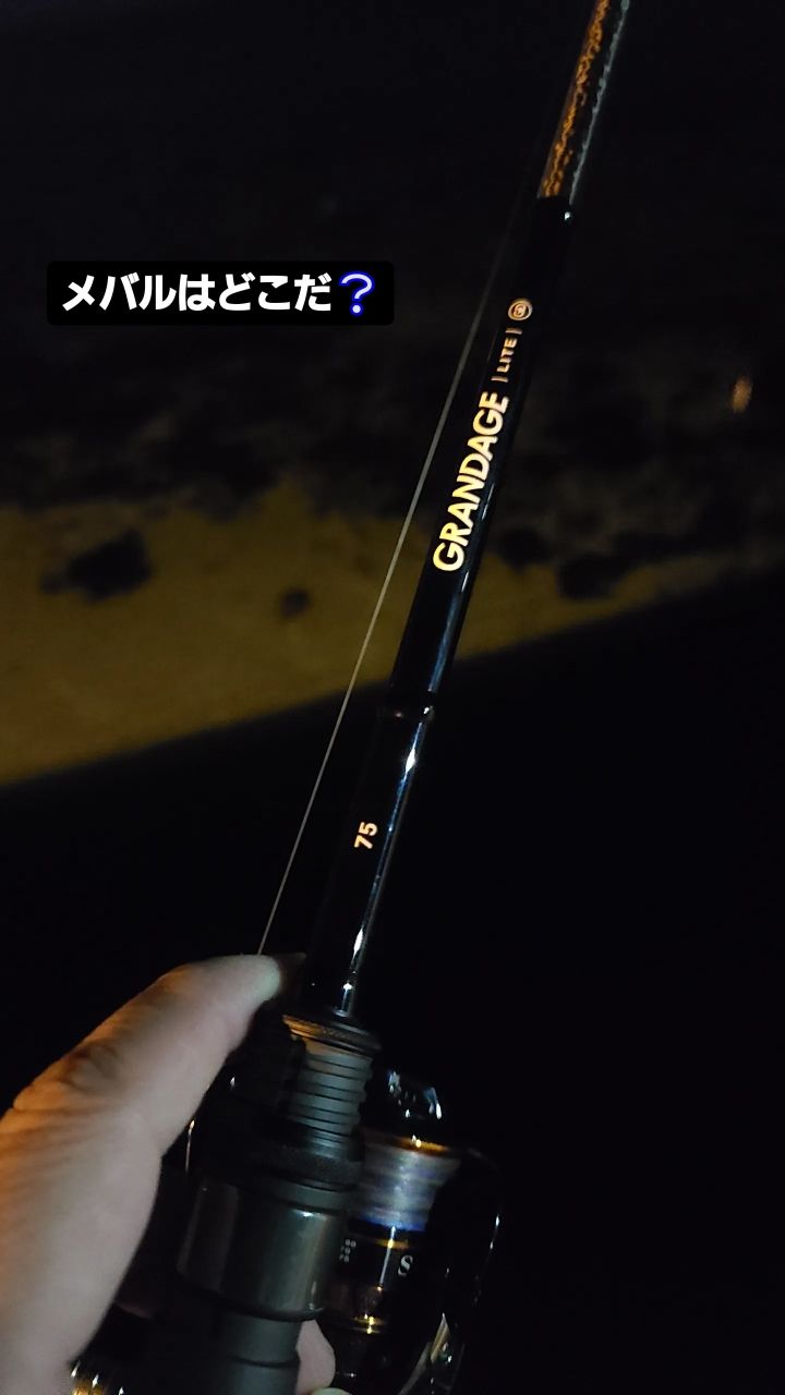 APIA グランデージ ライト 75の最安値・インプレ・釣果 | 本音の口コミ