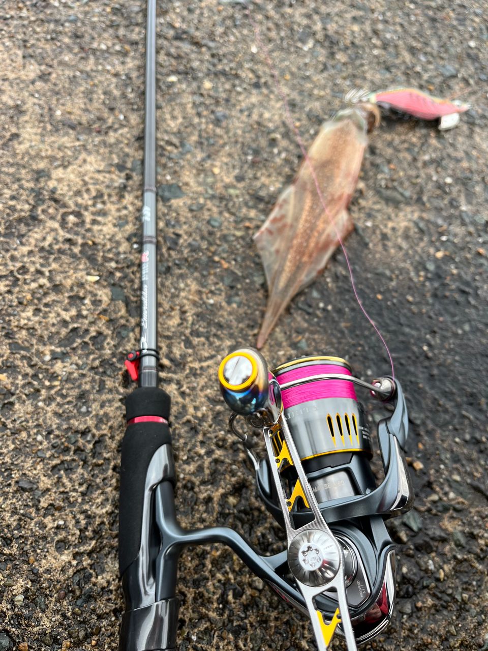 DAIWA 21エメラルダス ストイスト RT 88MLの最安値・インプレ・釣果