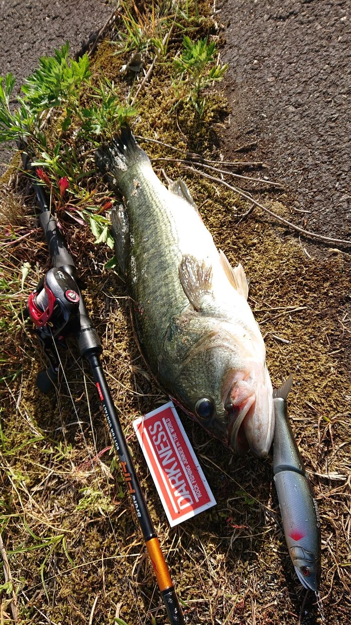 APIA ブルート' HR BOTTOM CONTACT B88Hの最安値・インプレ・釣果