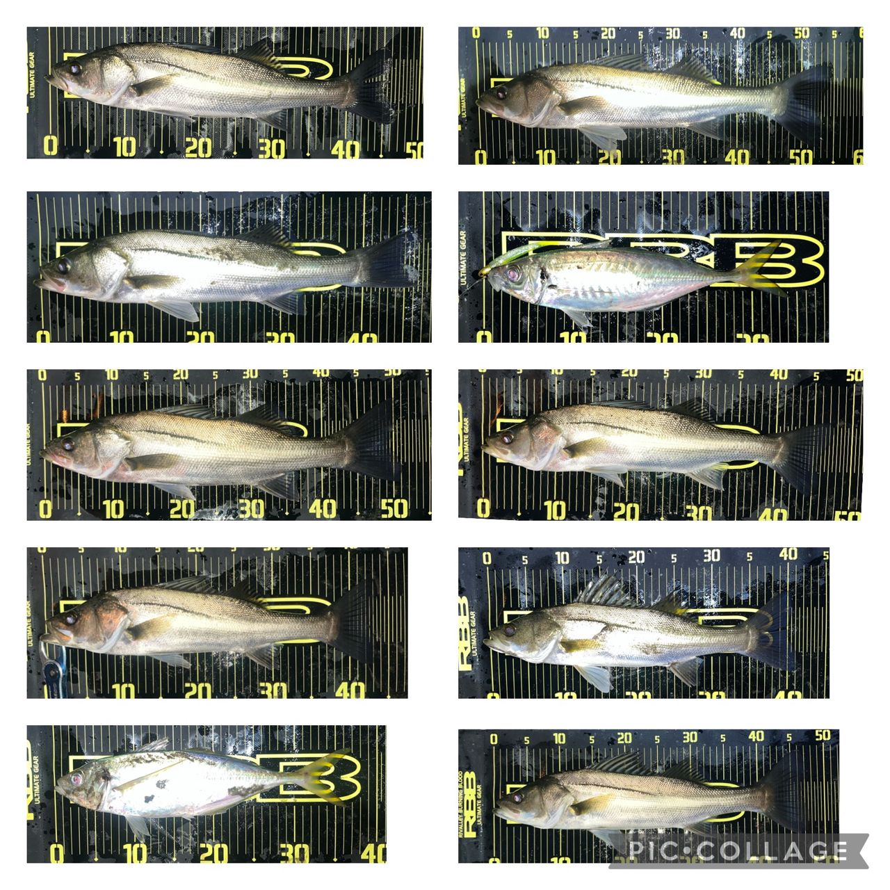 APIA フージン' Z GENEROUS 94Mの最安値・インプレ・釣果 | 本音の