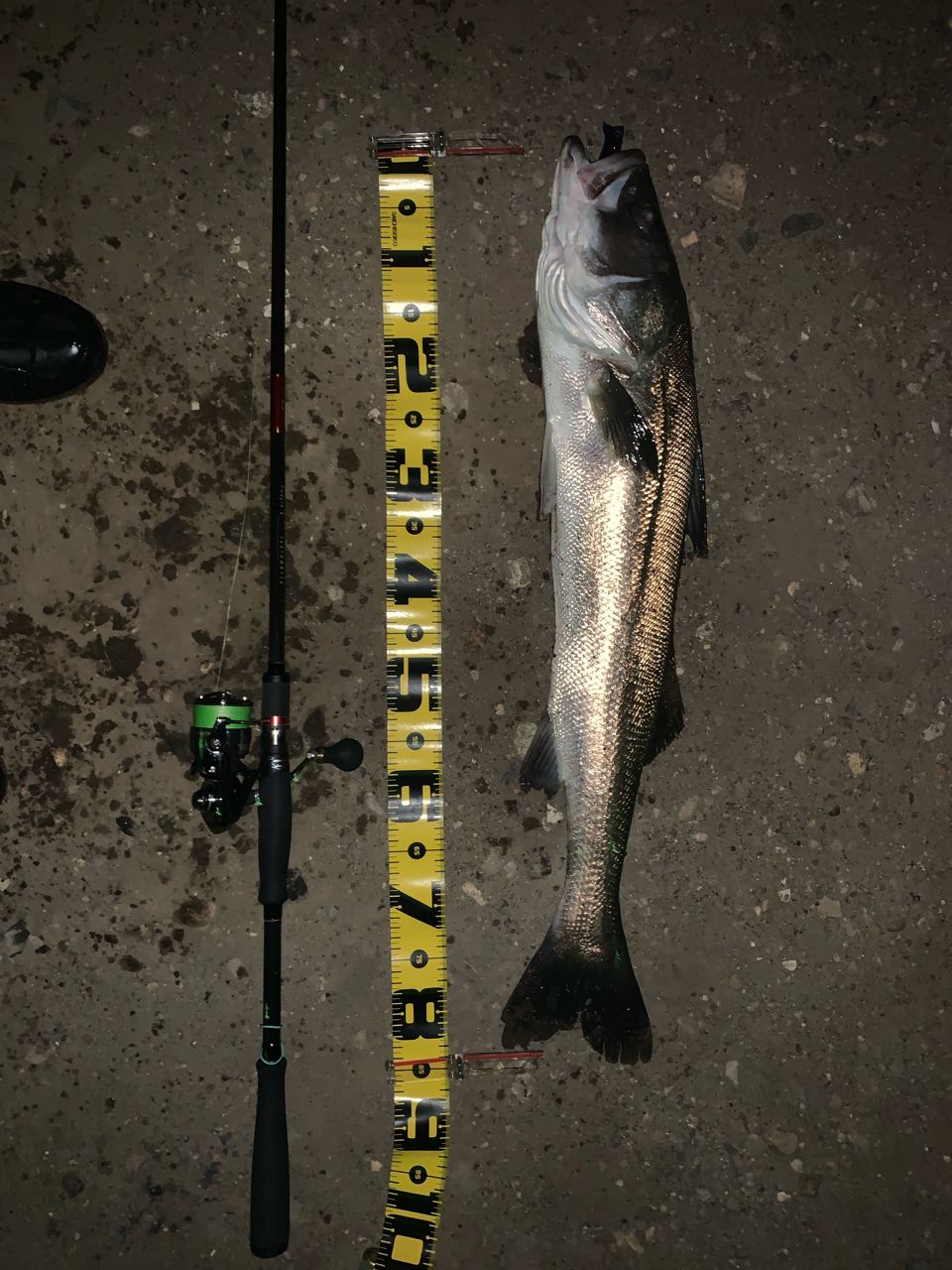 APIA フージン' Z TESTAMATTA 88MHの最安値・インプレ・釣果