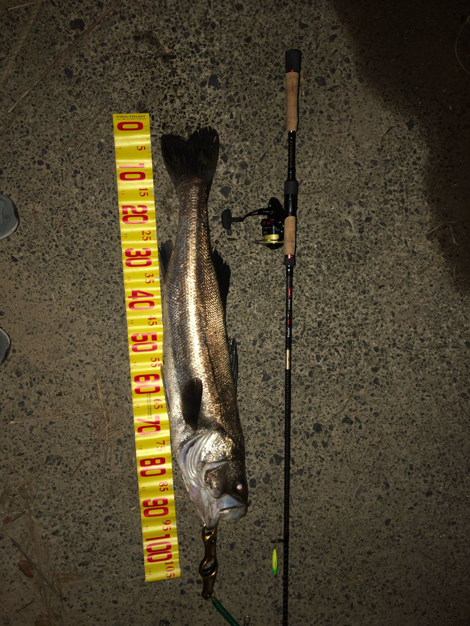 APIA フージン' AD LAPAGE 85MHの最安値・インプレ・釣果 | 本音の