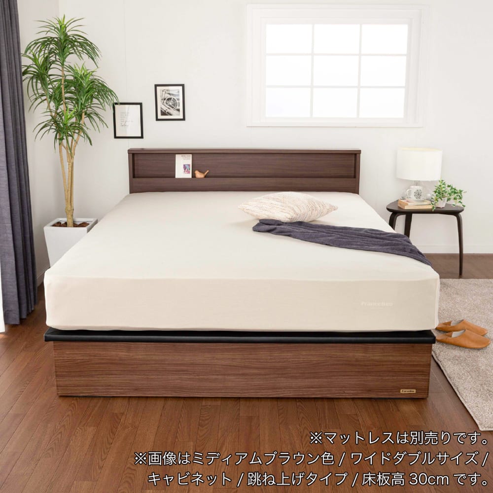 フランスベッド] セミシングルベッドフレーム チョイスミーCⅠ