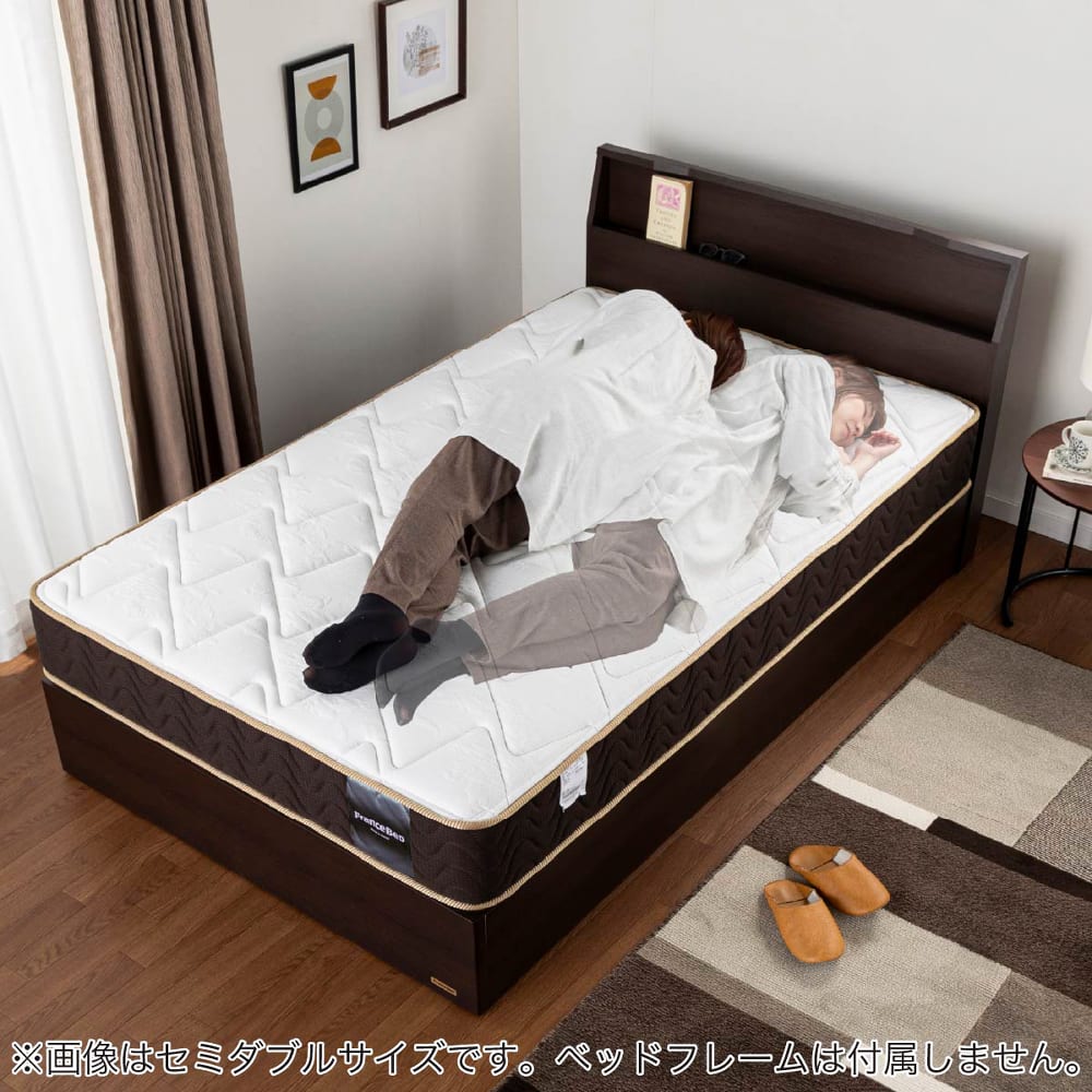 フランスベッド] シングルマットレス ハイジェニックプレミアムPW