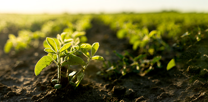 ナチュラルラボショップ