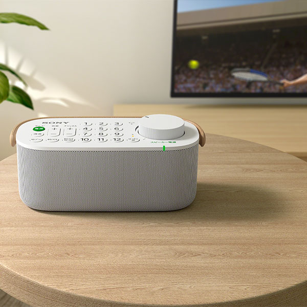 ソニー お手元テレビスピーカー SRS-LSR200 1台