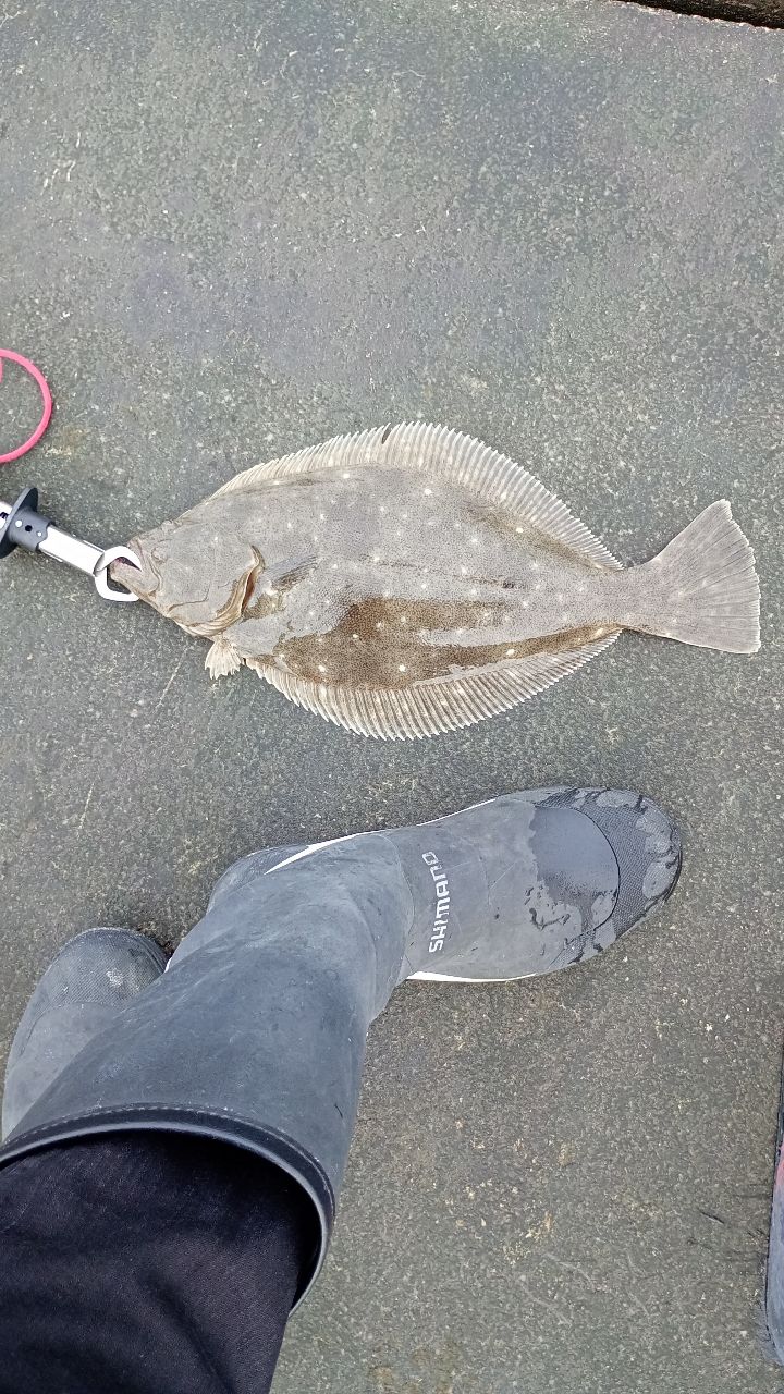 ラグゼ チータ R3 110MH シーバスロッド サーフロッド ヒラメマゴチ