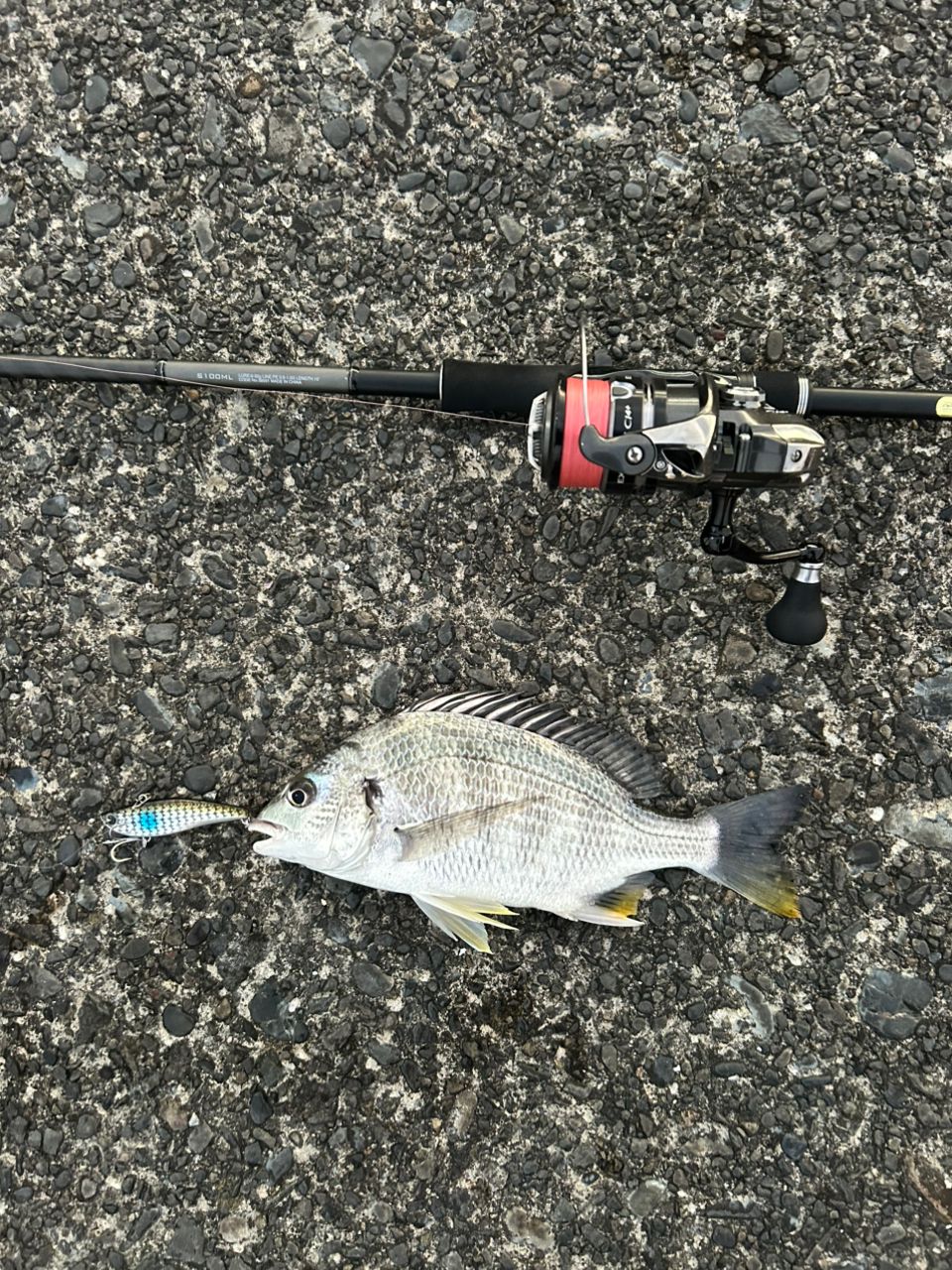 SHIMANO 18ディアルーナ S100MLの最安値・インプレ・釣果 | 本音の