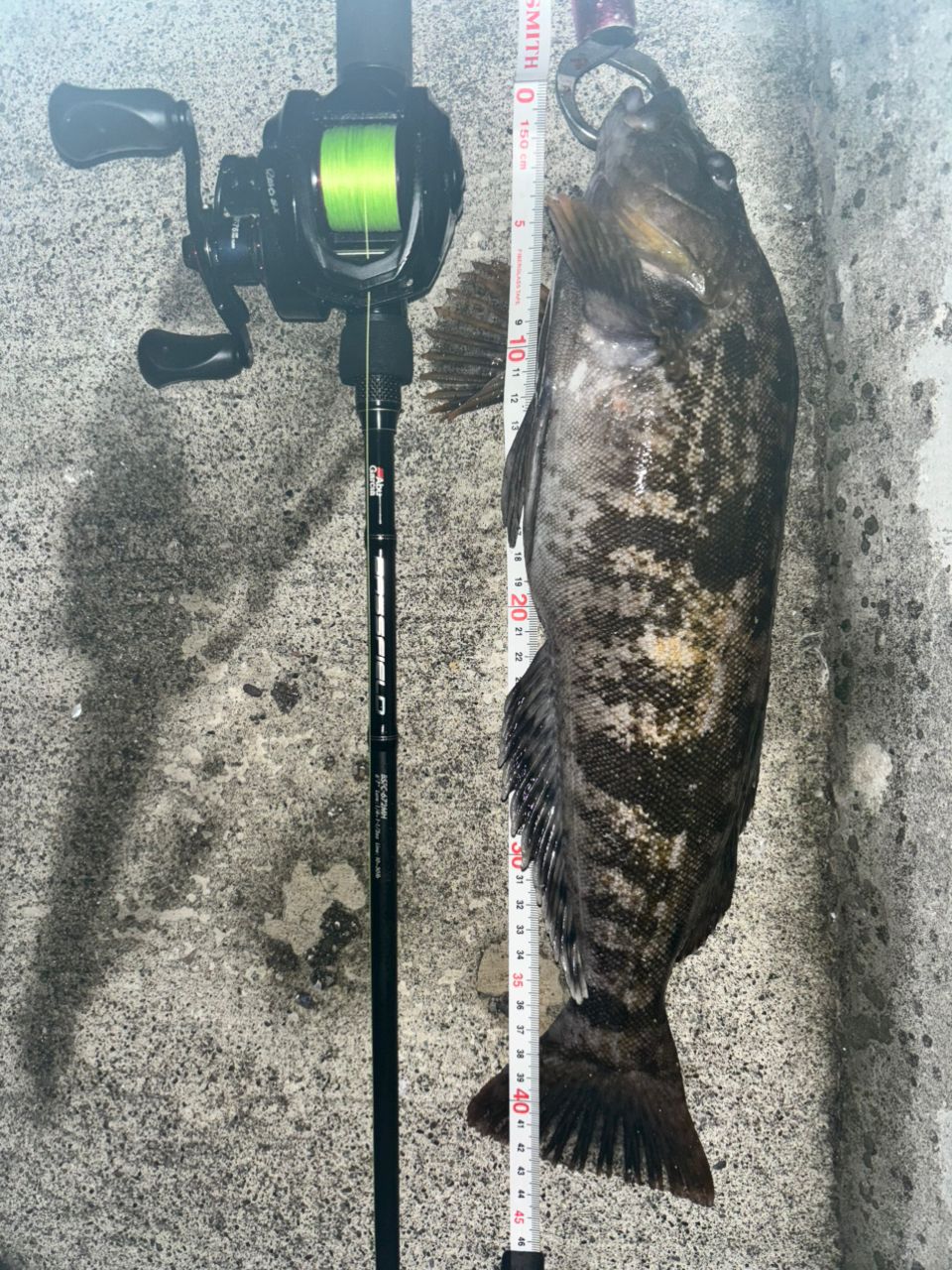 AbuGarcia バスフィールド BSFC-672MHの最安値・インプレ・釣果 | 本音