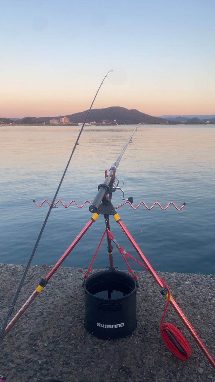 ZENAQ ミュートス ソニオ スピニングモデル 100M(RG)の最安値