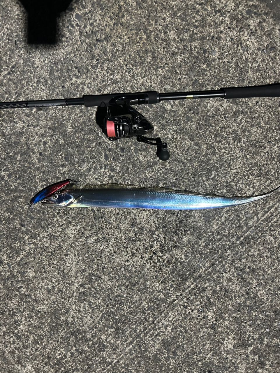 SHIMANO 18ディアルーナ S100MLの最安値・インプレ・釣果 | 本音の