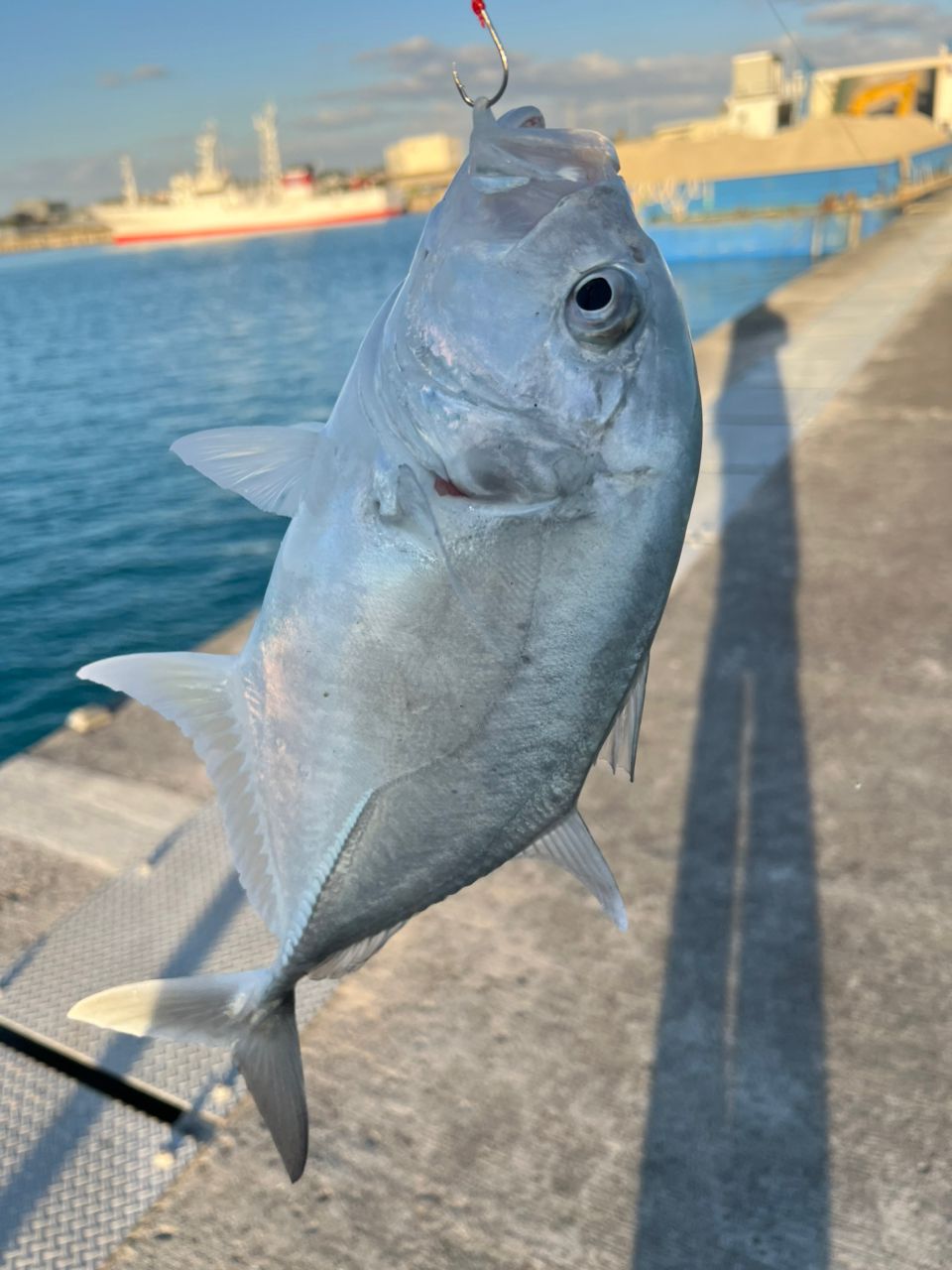 SHIMANO 20ワールドシャウラ ドリームツアーエディション 2832RS-5の最