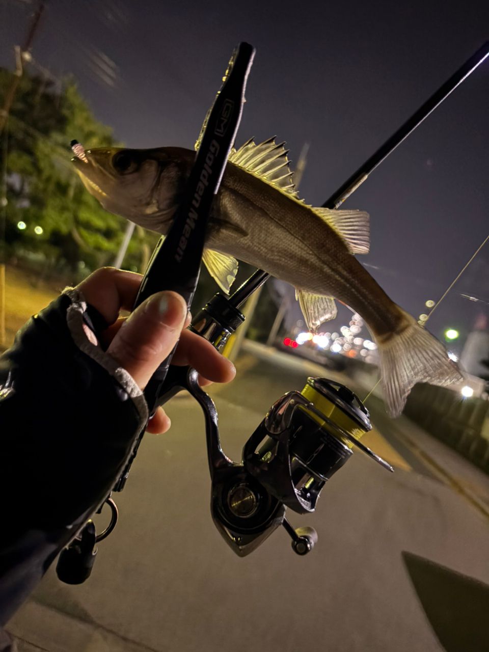AbuGarcia ソルティーステージ プロトタイプ アジング XAJS-5102LSSの