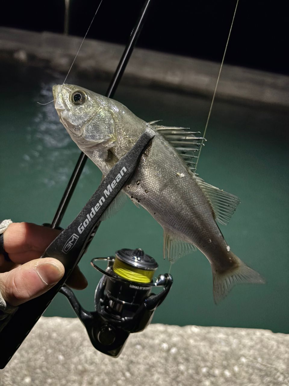 AbuGarcia ソルティーステージ プロトタイプ アジング XAJS-5102LSSの