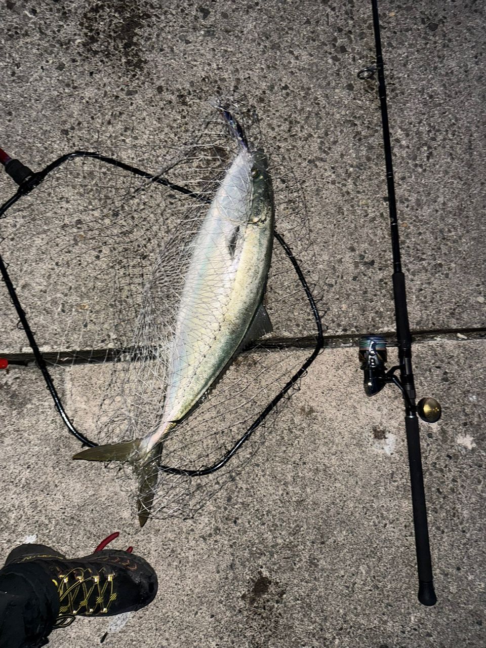 YAMAGA Blanks ブルースナイパー 97MMHの最安値・インプレ・釣果