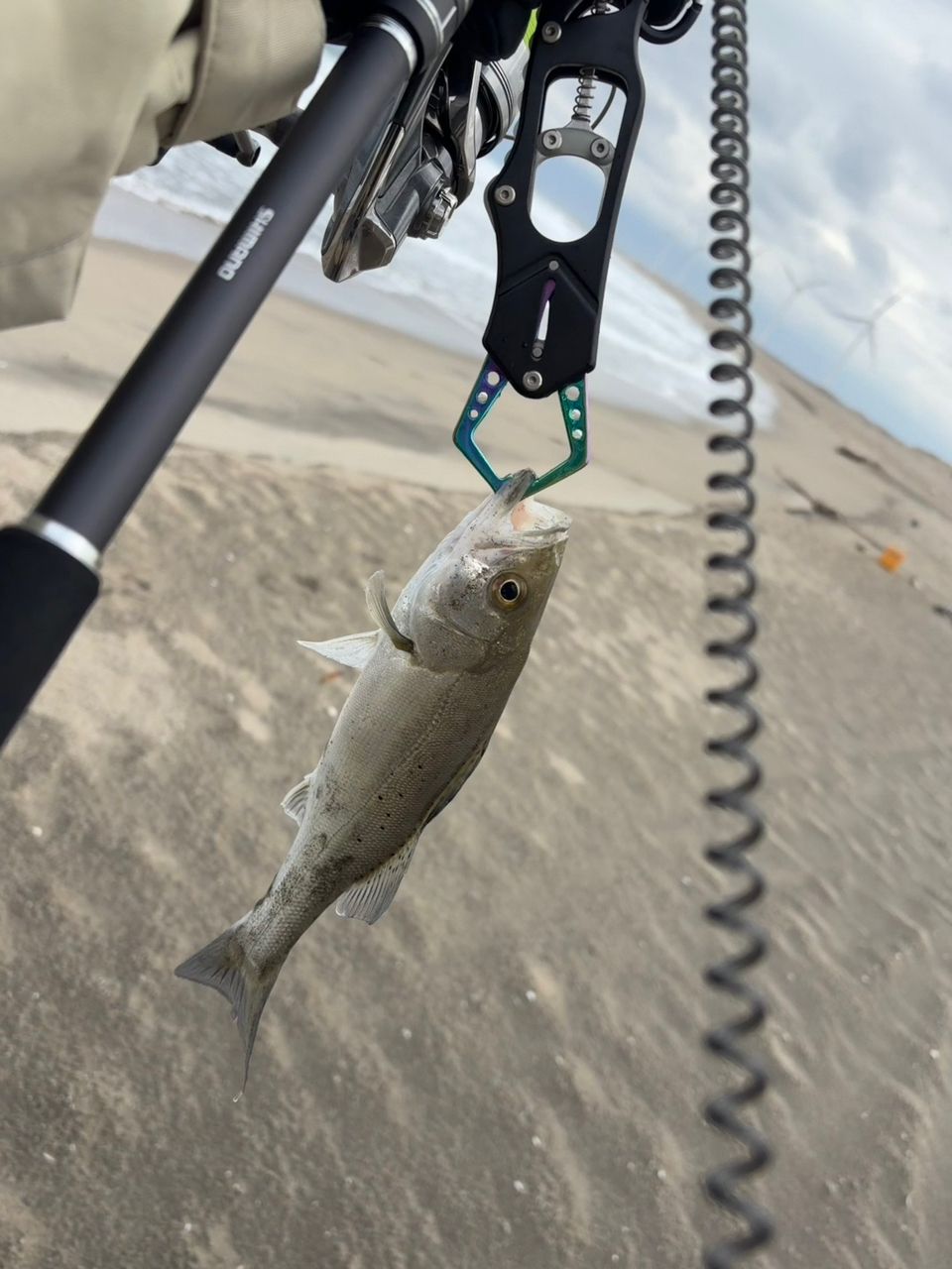 SHIMANO 21ムーンショット S106Mの最安値・インプレ・釣果 | 本音の