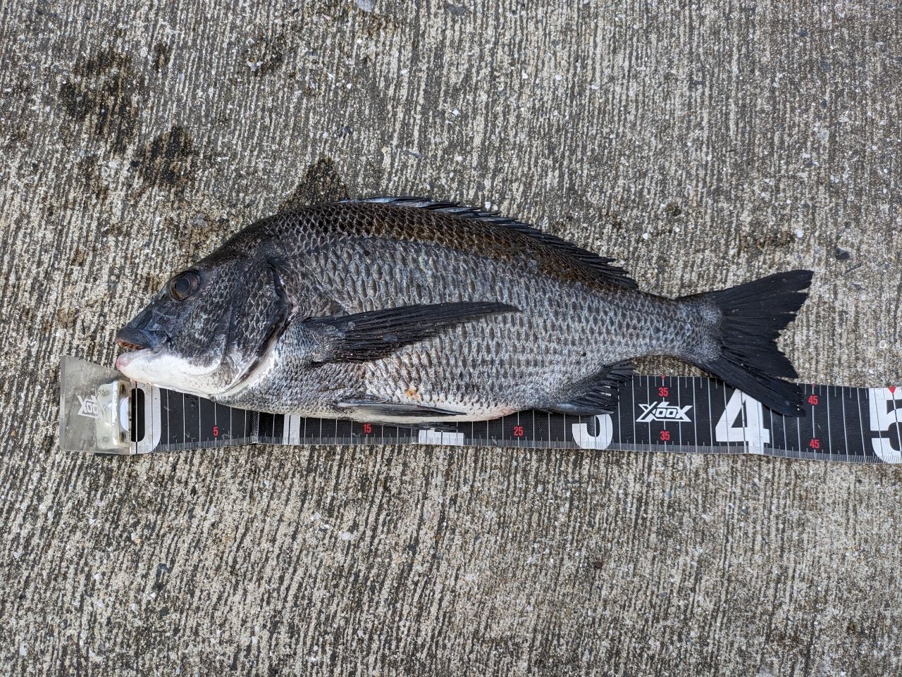 MajorCraft トリプルクロス ティップラン TCX-S682ML/TEの最安値