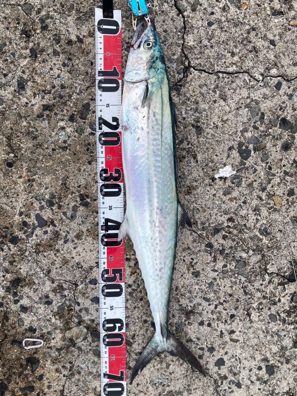 DAIWA 22オーバーゼア 96Hの最安値・インプレ・釣果 | 本音の口コミが