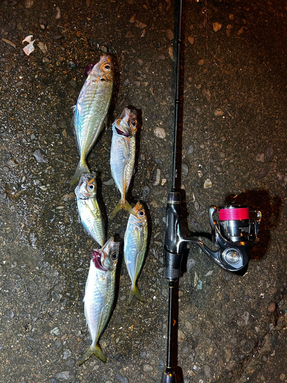 tailwalk アジスト TZ 511/SLの最安値・インプレ・釣果 | 本音の口コミ