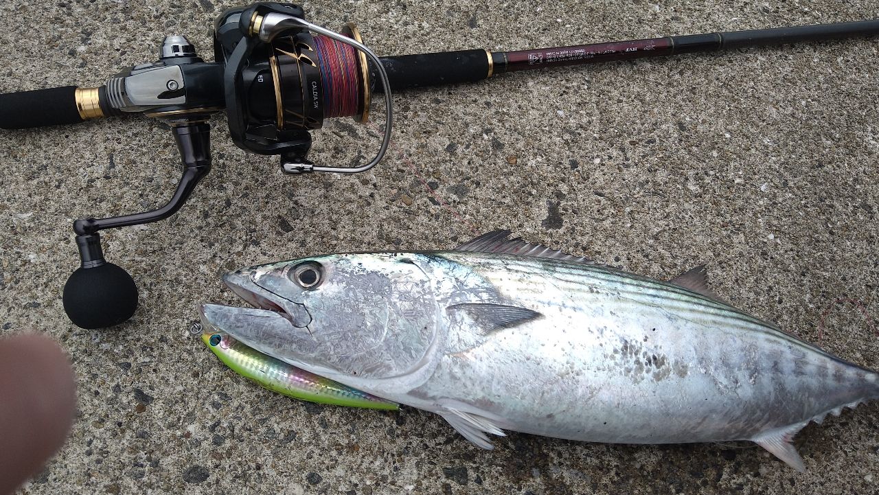 DAIWA 22オーバーゼア 96MHHの最安値・インプレ・釣果 | 本音の口コミ