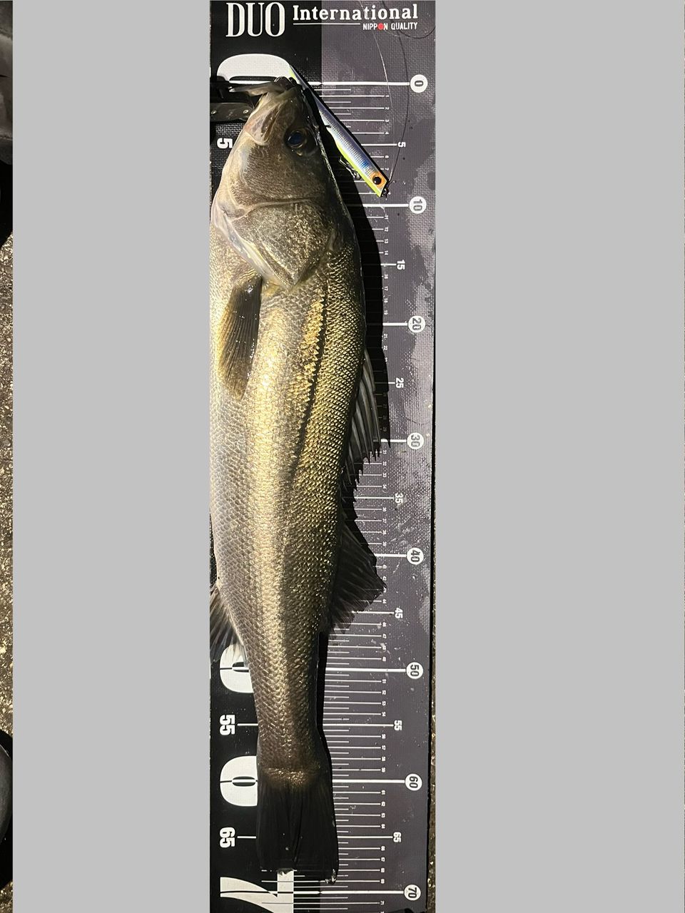 GCRAFT セブンセンスSR モンスターストリーム MSS-902-SRの最安値