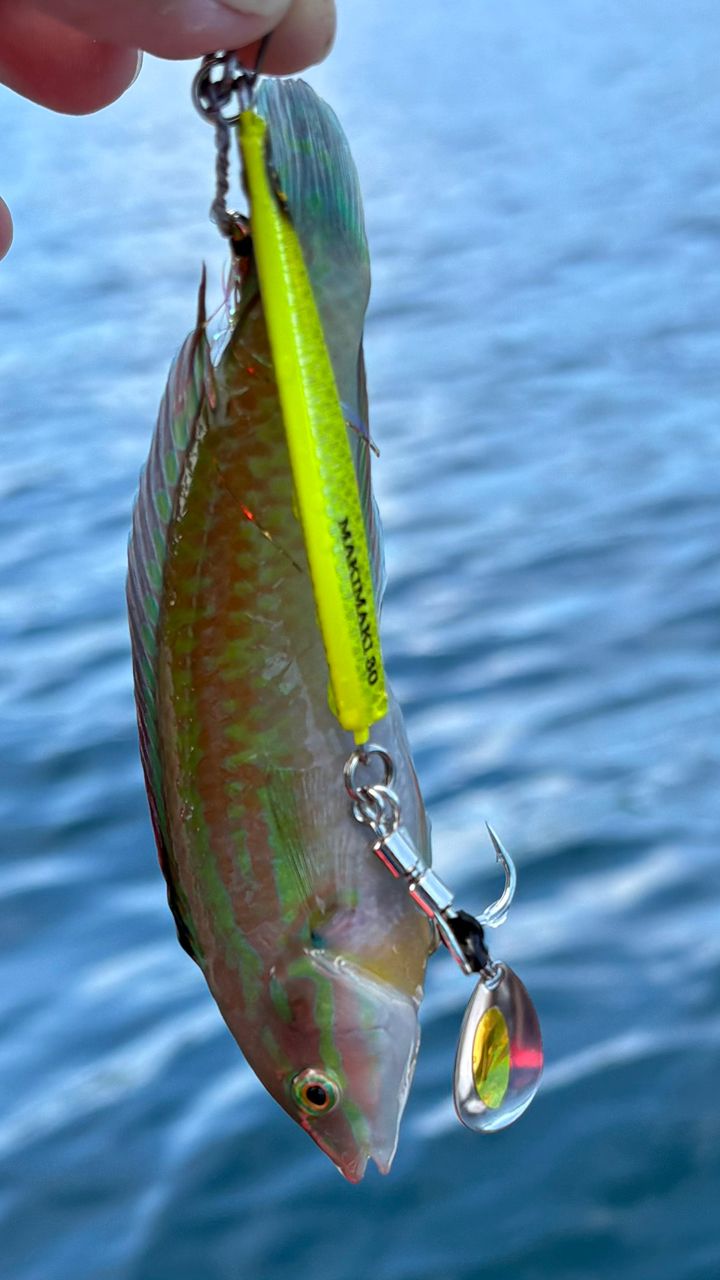 DAIWA 23エメラルダス ストイスト ST（アウトガイドモデル） 82ML-5の