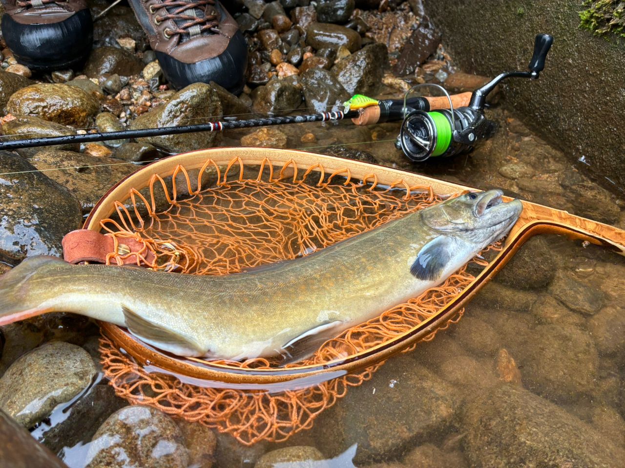 Jackson カワセミラプソディ KWSM-C411ULの最安値・インプレ・釣果