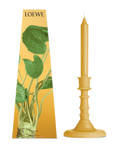 ロエベ パルファムに新作「ワサビ」が登場。グリーンアロマの爽やかで