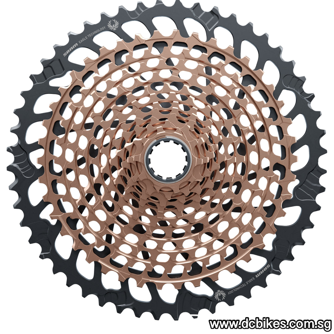 image_a99d8d88-6a66-49ed-ada1-