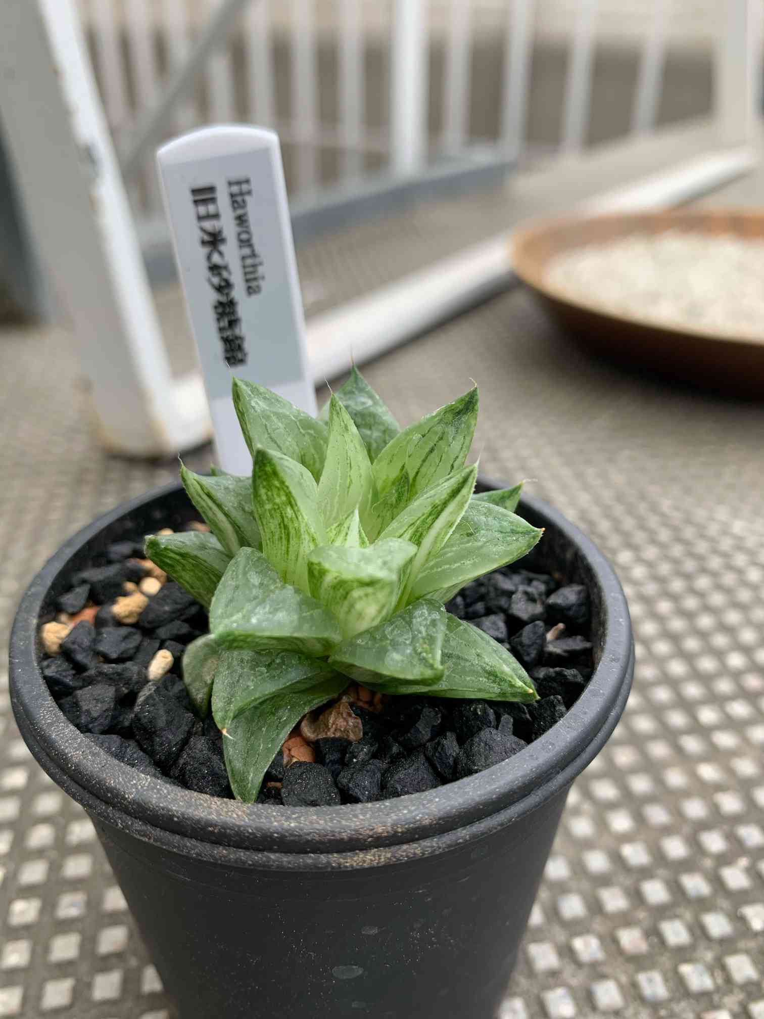 1576898805766_73368_photo.jpg?