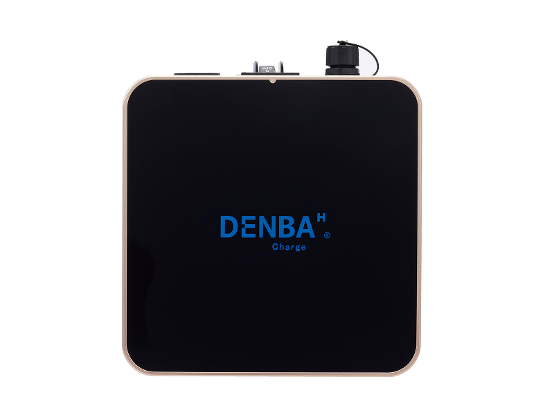 専用】DENBA Health 専用】DENBA Health ZX DENBA HEALTH Charge 商品