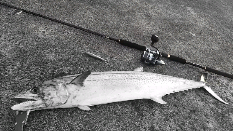 ダイワ ジグキャスターMX 96M をレビューしてみる！【ショアジギング】