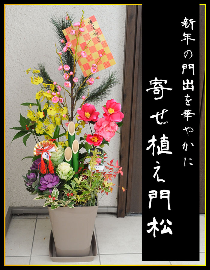 dショッピング |[12月27日]届 正月寄せ植え「門松」8号鉢【年の瀬定型