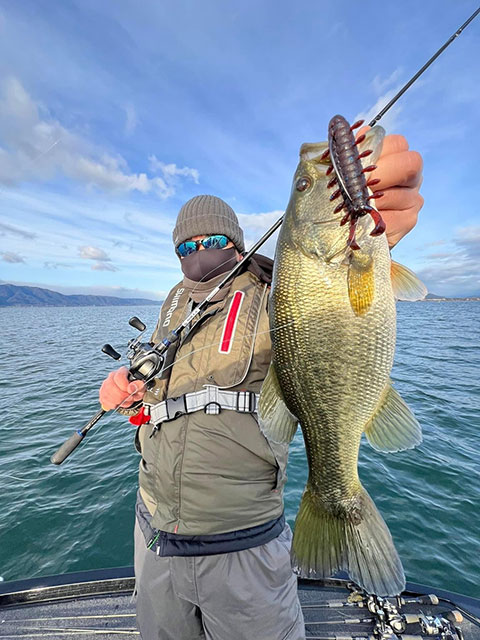 株式会社DSTYLE 公式サイト