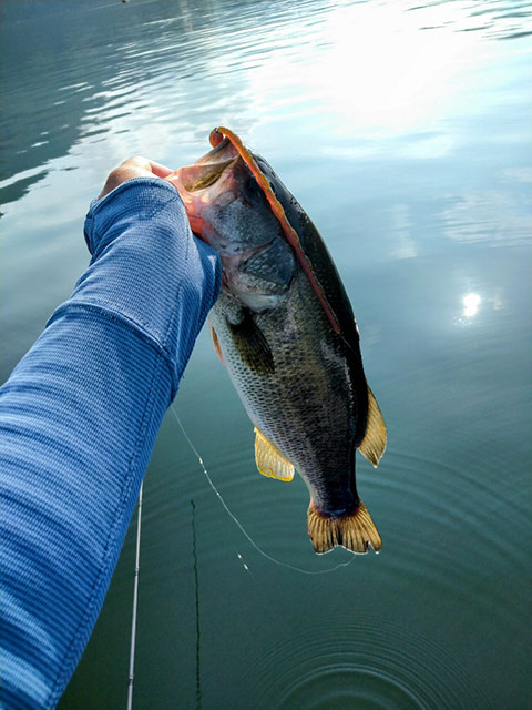 株式会社DSTYLE 公式サイト