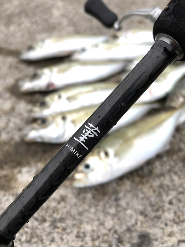 第1弾アジングロッドは全層攻略可能アクション～ドリームコンスリー